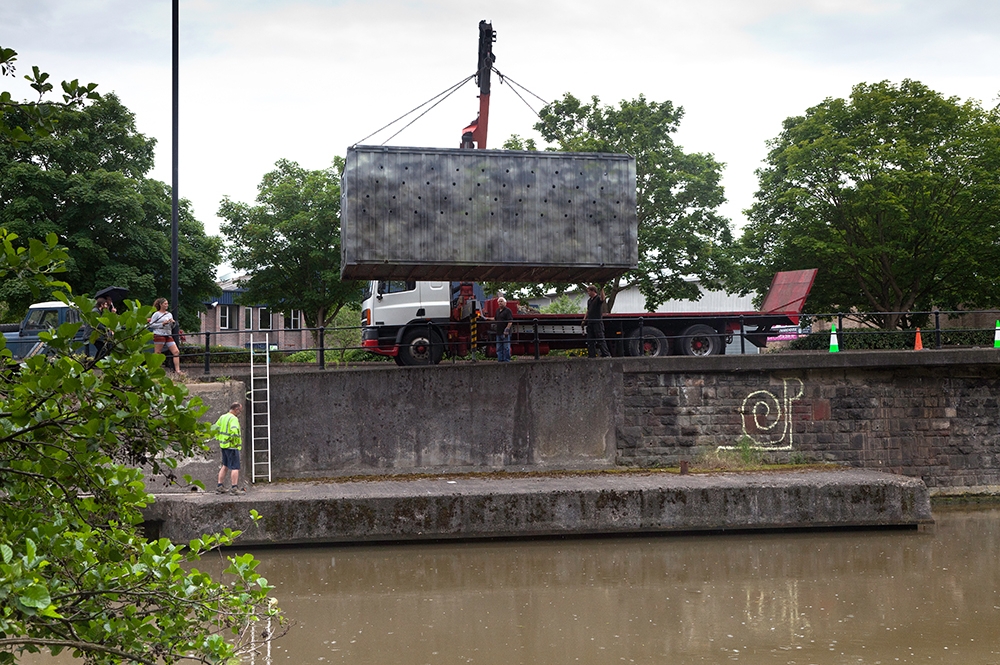 Tue Greenfort. The Feeder Canal Sand Martin Colony, 2012