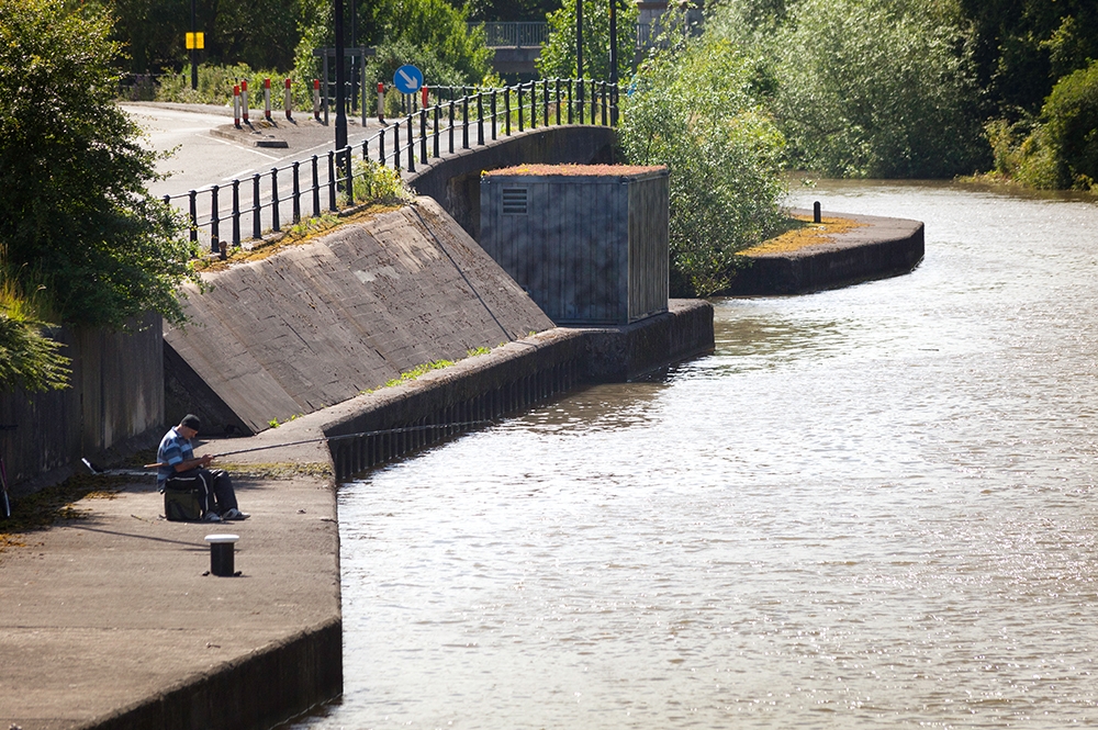 Tue Greenfort. The Feeder Canal Sand Martin Colony, 2012