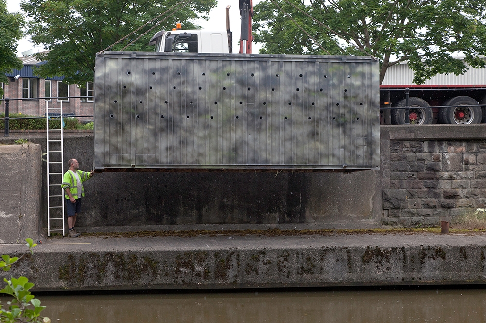 Tue Greenfort. The Feeder Canal Sand Martin Colony, 2012