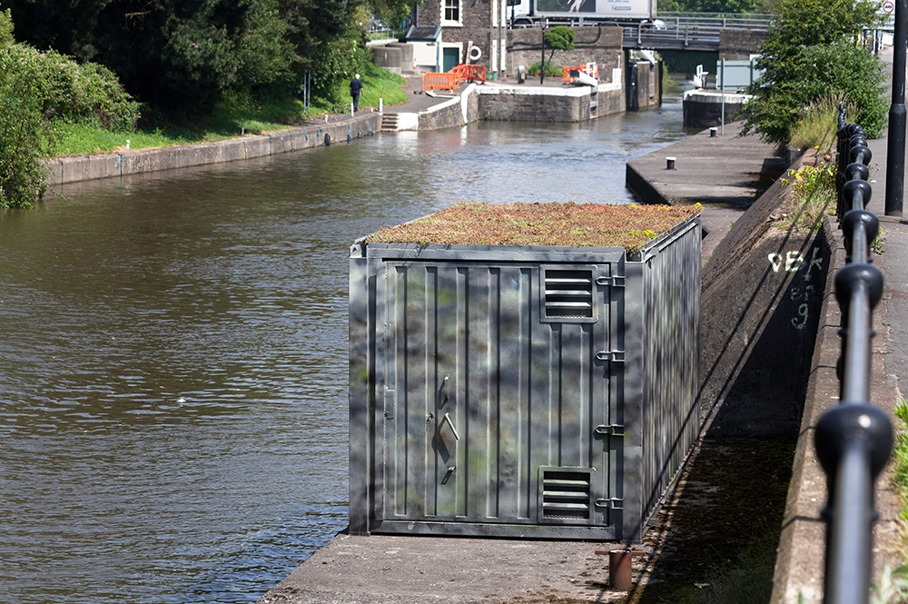 Tue Greenfort. The Feeder Canal Sand Martin Colony, 2012