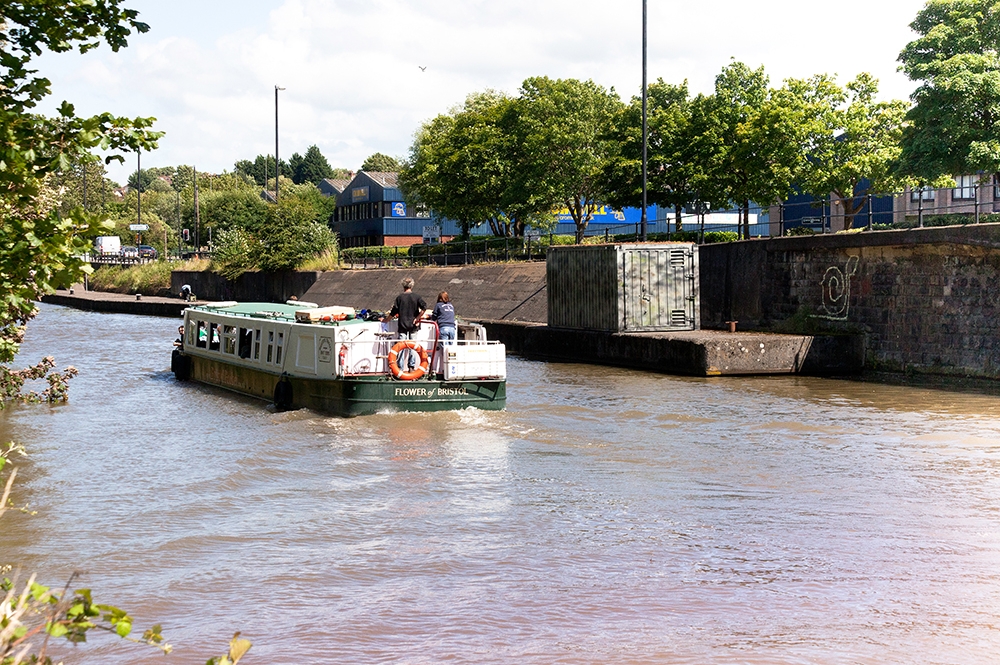 Tue Greenfort. The Feeder Canal Sand Martin Colony, 2012