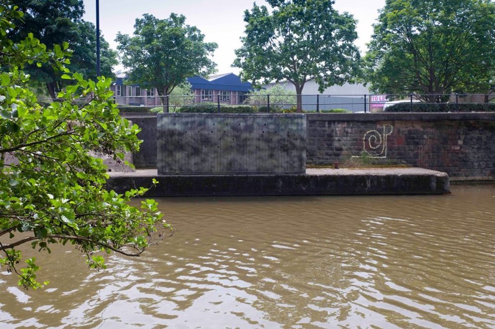 Tue Greenfort. The Feeder Canal Sand Martin Colony, 2012