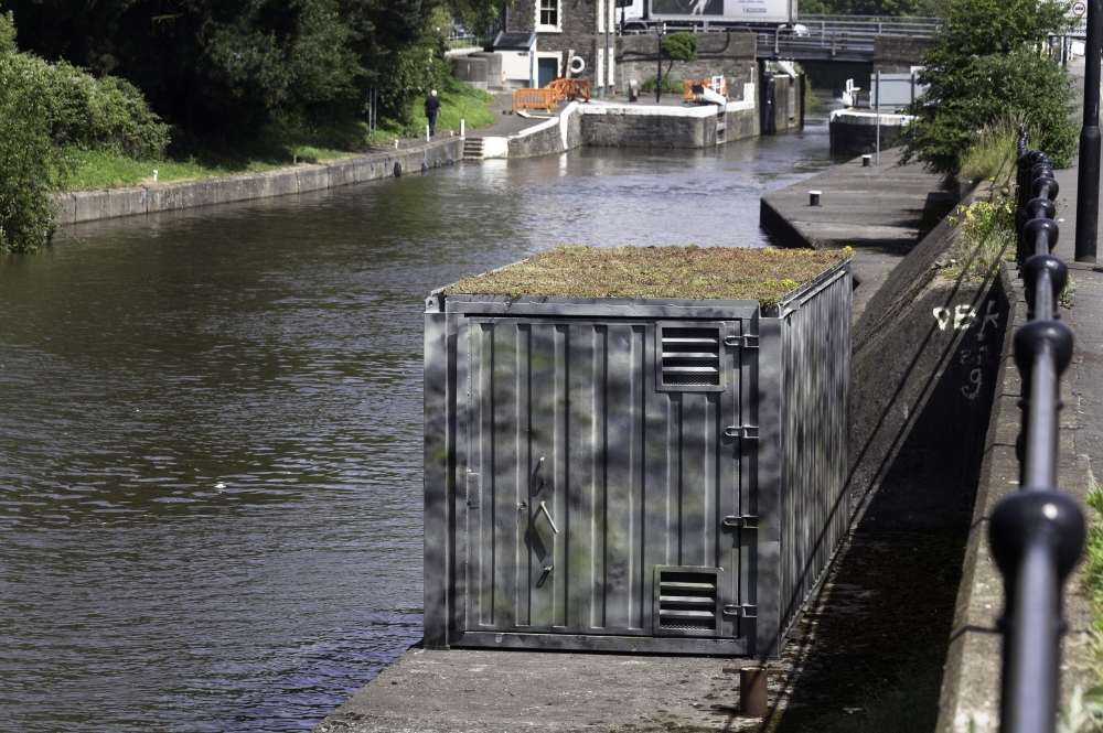 Tue Greenfort. The Feeder Canal Sand Martin Colony, 2012