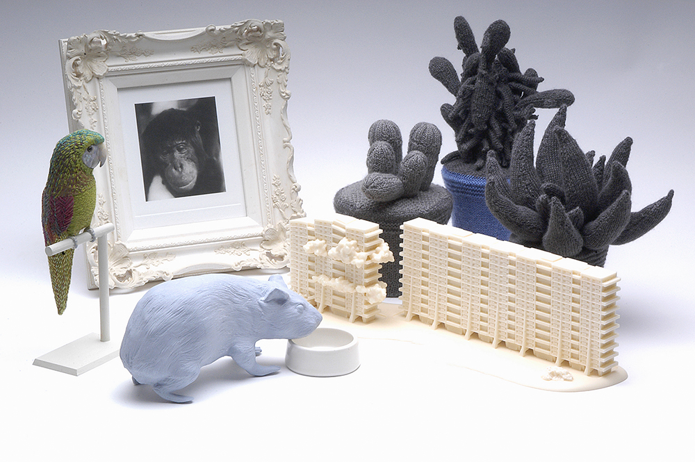Daphne Wright. Home Ornaments, 2002-2005