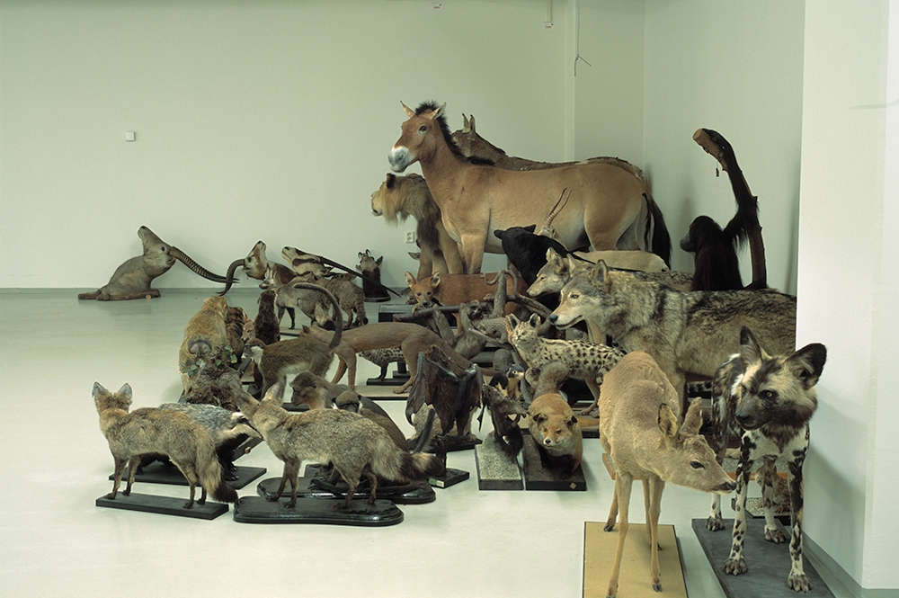 Sophie Hayes. Storage, 2004 - Onwards