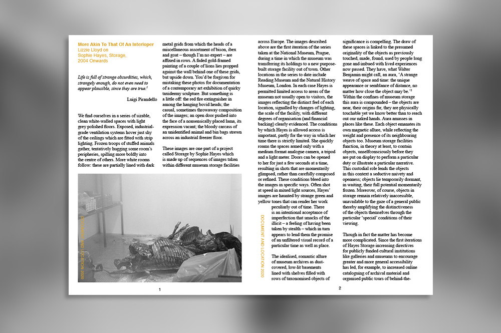 More Akin To That Of An Interloper. Lizzie Lloyd on Sophie Hayes, Storage, 2004 Onwards