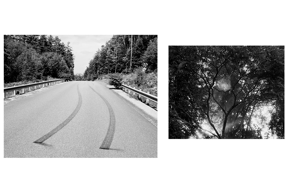 Aaron Schuman. SLANT (Election, Fall 2020)
