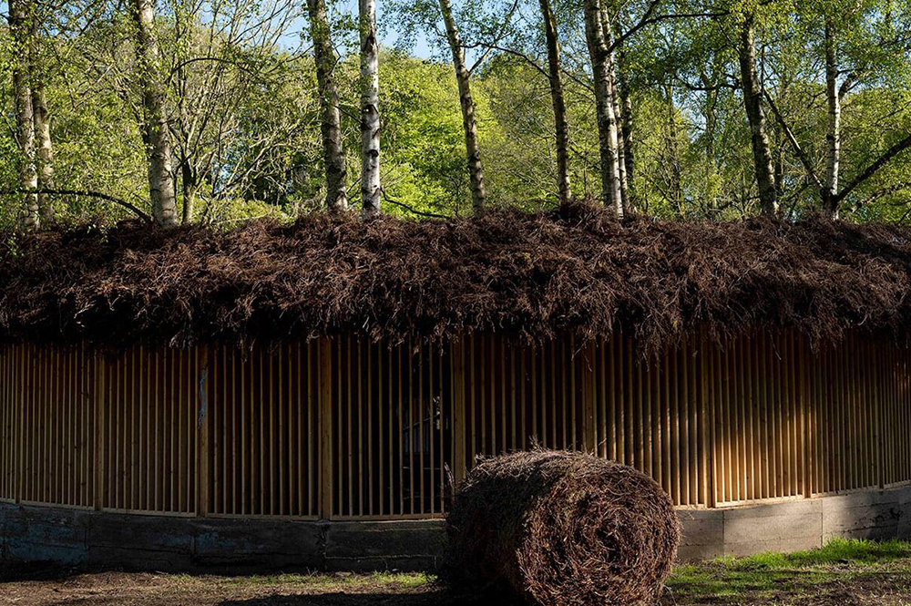 Studio Morison. Silence: in a world of wounds, 2021. Image: Jonty Wilde; The Oak Project
