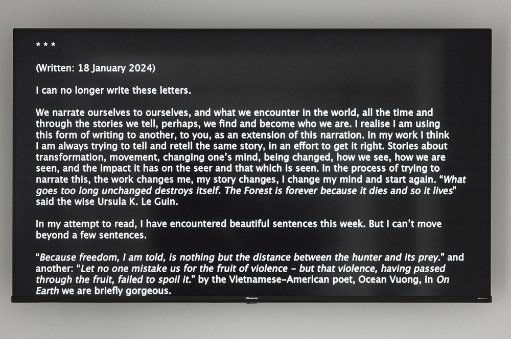 Sophie Hayes. Aftermath, 2024